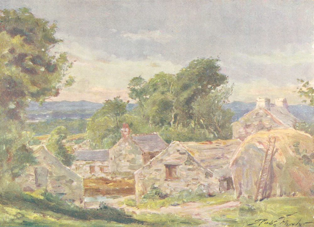 WALES. Welsh Farm, near Llanberis 1905 old antique vintage print picture